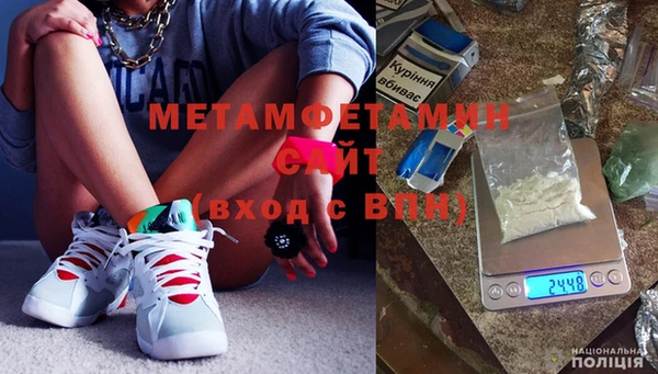 шишки Бородино