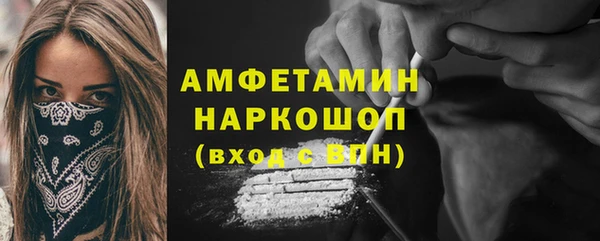 шишки Бородино