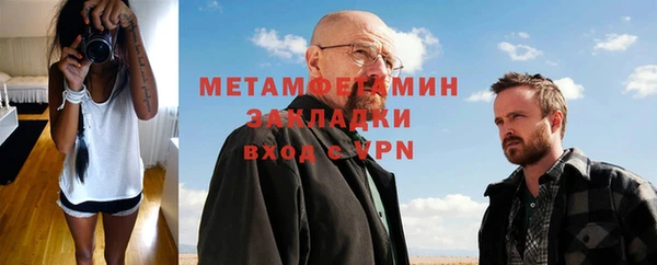 шишки Бородино