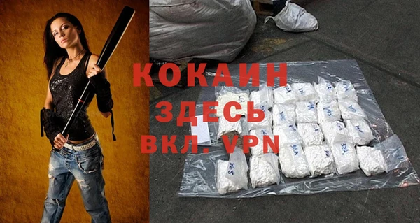 шишки Бородино