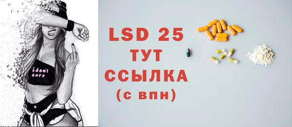 шишки Бородино