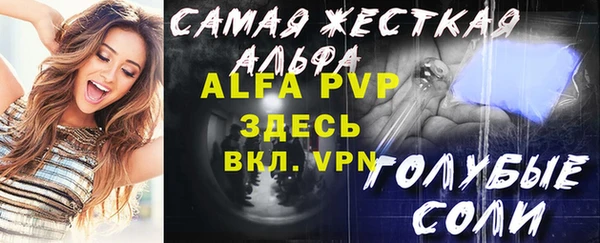 шишки Бородино