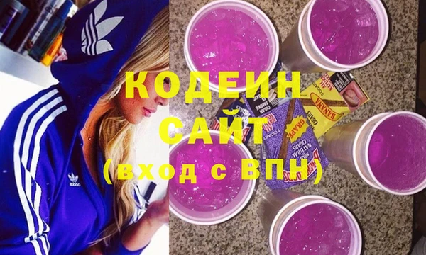 шишки Бородино