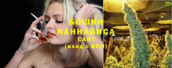 шишки Бородино