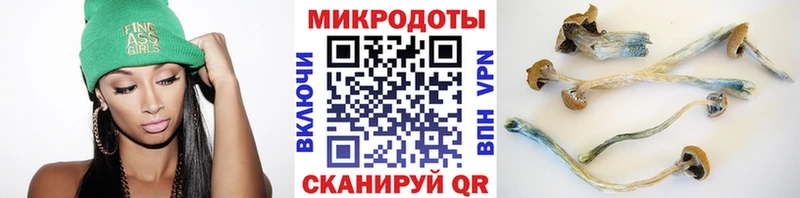 Галлюциногенные грибы ЛСД  kraken зеркало  Северобайкальск 
